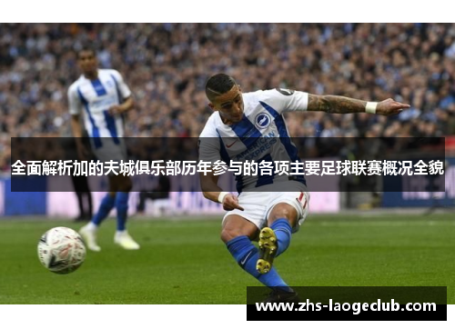 全面解析加的夫城俱乐部历年参与的各项主要足球联赛概况全貌 全面解析加的夫城俱乐部历年参与的各项主要足球联赛概况全貌