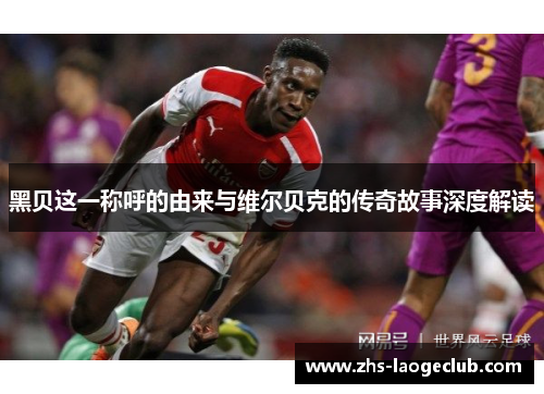 黑贝这一称呼的由来与维尔贝克的传奇故事深度解读 黑贝这一称呼的由来与维尔贝克的传奇故事深度解读