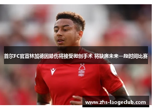 首尔FC官宣林加德因膝伤将接受微创手术 将缺席未来一段时间比赛 首尔FC官宣林加德因膝伤将接受微创手术 将缺席未来一段时间比赛