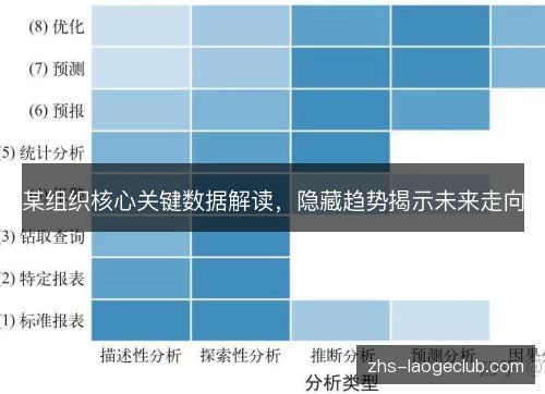 某组织核心关键数据解读,隐藏趋势揭示未来走向 某组织核心关键数据解读,隐藏趋势揭示未来走向