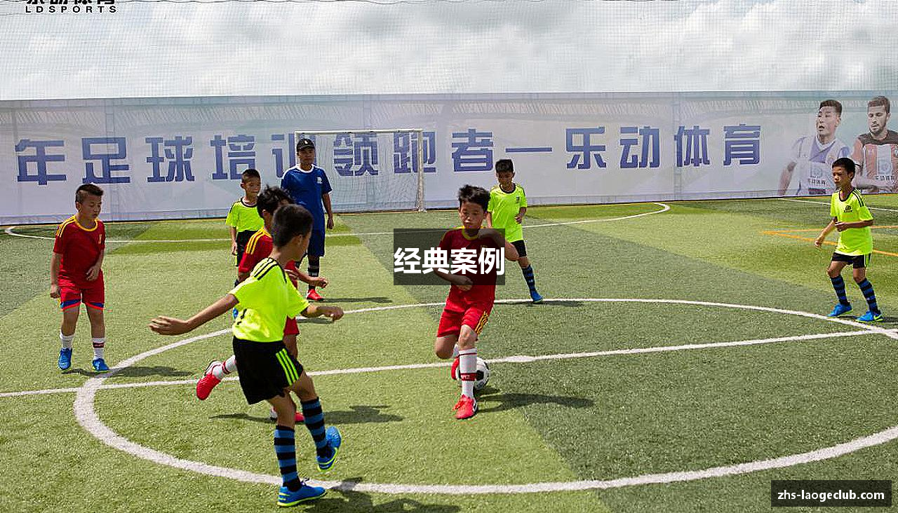 经典案例
